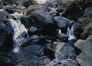 Low flows create barrier to fish at boulder falls