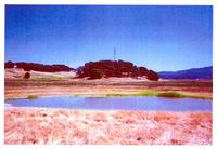 ../topics/nm/pci_novato_wetlands_1994.jpg + 312 KB