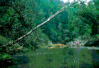 nw01_br_canoe_nov74_sm.gif 356K