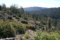 west_face_beatty_ridge_3_sm.jpg 132K