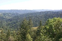 3_panorama_of_upper_billings_creeks_from_gps_25_sm.jpg 71K