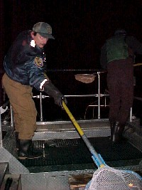 efish_netting_6.jpg 72K