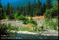 walker_creek_mouth_klamath.jpg 135K