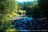 salmon_river_s_frk_belowpeter.jpg 133K