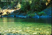 salmon_river_somes_cr_conf.jpg 114K