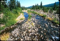 shasta_river_eddy_creek.jpg 170K