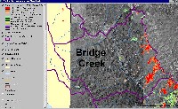 mat_csd_doq_bridge_sm.jpg 83K