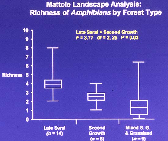 amphibian richness by forest type