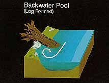 Backwater pool in stream