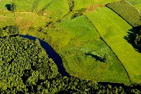 sheepscot_aerials_2004_field.jpg 171K