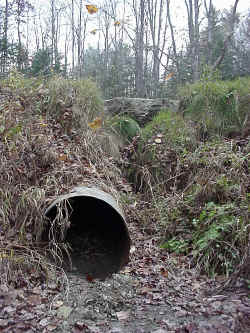 culvert_plug_sed.jpg (353267 bytes)