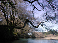 Garcia River