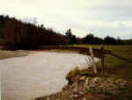 eroding streambank needs riparian restoration. Photo by Chris Tebbutt