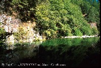 dillon_creek_usfs_cg_pool.jpg 139K