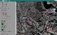 lewistonortho.gif 286K