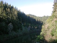 low_russ_riparian_us_2002.jpg 148K